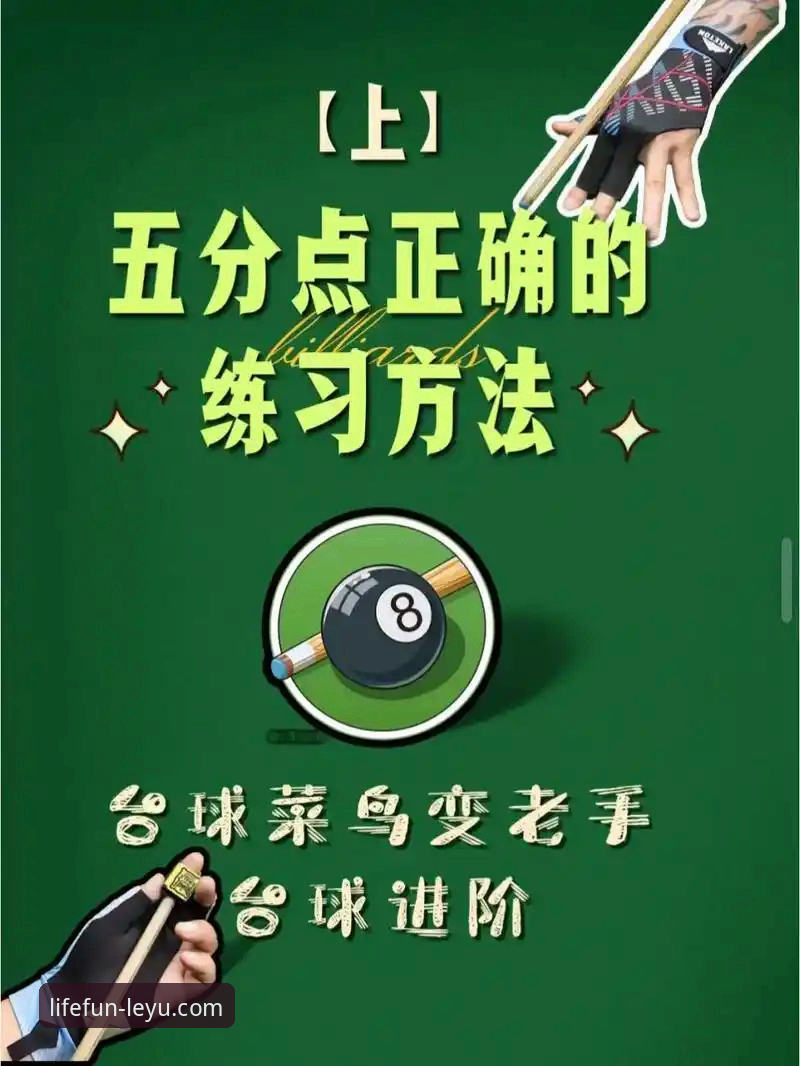 乐鱼体育沉浸体验必备：新手选择指南 vs 老手进阶攻略