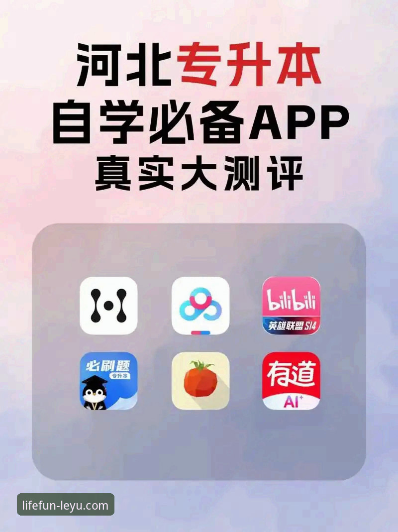 揭秘乐鱼app官网入口哪个好：新手用户必看的完整选择指南